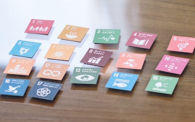 SHINAUN　SDGs資料